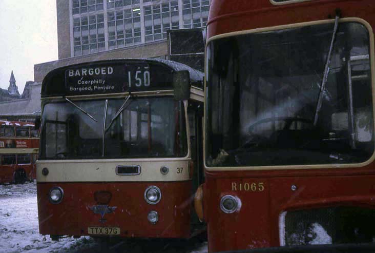 Gelligaer AEC Swift Willowbrook 37 & Red & White RESL R1065